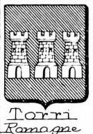 Torri Coat of Arms / Family Crest 13