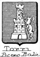 Torri Coat of Arms / Family Crest 5