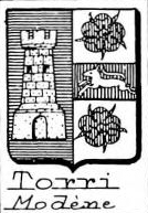 Torri Coat of Arms / Family Crest 8