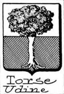 Torsi Coat of Arms / Family Crest 0