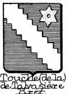 Touche Coat of Arms / Family Crest 7