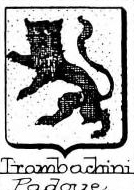 Trambachini Coat of Arms / Family Crest 0