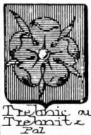 Trebnic Coat of Arms / Family Crest 0