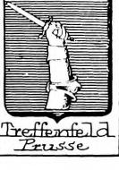 Treffenfeld Coat of Arms / Family Crest 1
