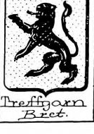 Treffgarn Coat of Arms / Family Crest 0