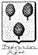 Tregain Coat of Arms / Family Crest 0