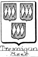 Tremigon Coat of Arms / Family Crest 0