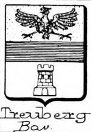 Treuberg Coat of Arms / Family Crest 0