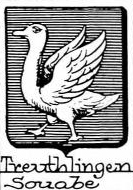 Treuthlingen Coat of Arms / Family Crest 0