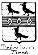 Trevien Coat of Arms / Family Crest 0
