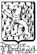 Trevor Coat of Arms / Family Crest 1
