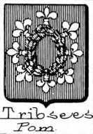 Tribsees Coat of Arms / Family Crest 0