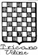 Tricano Coat of Arms / Family Crest 1