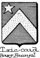 Tricaud Coat of Arms / Family Crest 1