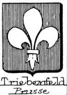 Triebenfeld Coat of Arms / Family Crest 0
