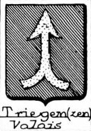 Triegen Coat of Arms / Family Crest 0