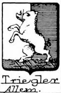 Triegler Coat of Arms / Family Crest 0
