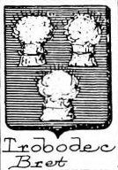 Trobodec Coat of Arms / Family Crest 0