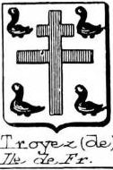 Troyez Coat of Arms / Family Crest 0