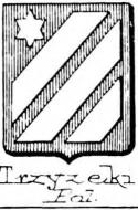 Trzyzeki Coat of Arms / Family Crest 0