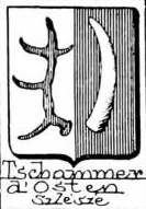 Tschammer Coat of Arms / Family Crest 2