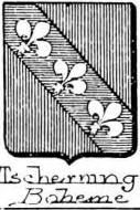 Tscherning Coat of Arms / Family Crest 1