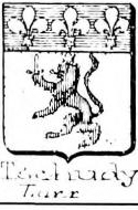 Tschudy Coat of Arms / Family Crest 0