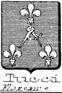 Tucci Coat of Arms / Family Crest 2