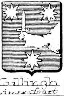 Tullingh Coat of Arms / Family Crest 0