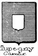 Tupegny Coat of Arms / Family Crest 0
