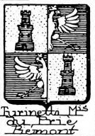 Turinetti Coat of Arms / Family Crest 1