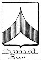 Turndl Coat of Arms / Family Crest 1