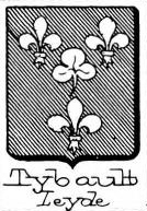 Tybault Coat of Arms / Family Crest 0