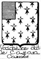 Vaidiere Coat of Arms / Family Crest 0