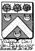 Valois Coat of Arms / Family Crest 6