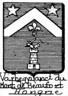 Varhegyi Coat of Arms / Family Crest 0