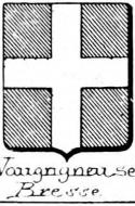 Vaugrigneuse Coat of Arms / Family Crest 0