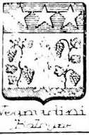 Vegnudini Coat of Arms / Family Crest 1