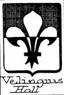 Velingius Coat of Arms / Family Crest 0