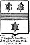 Venturi Coat of Arms / Family Crest 9
