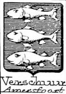 Verschuur Coat of Arms / Family Crest 0