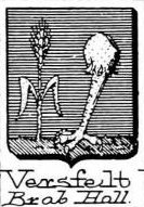 Versfelt Coat of Arms / Family Crest 0