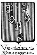 Vesins Coat of Arms / Family Crest 0