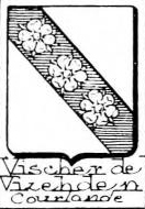 Vischer Coat of Arms / Family Crest 19
