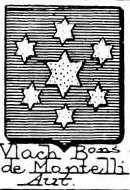 Vlach Coat of Arms / Family Crest 0