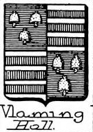 Vlaming
