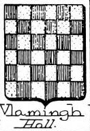 Vlamingh