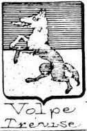 Volpe Coat of Arms / Family Crest 2