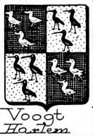 Voogt Coat of Arms / Family Crest 1