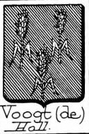 Voogt Coat of Arms / Family Crest 2